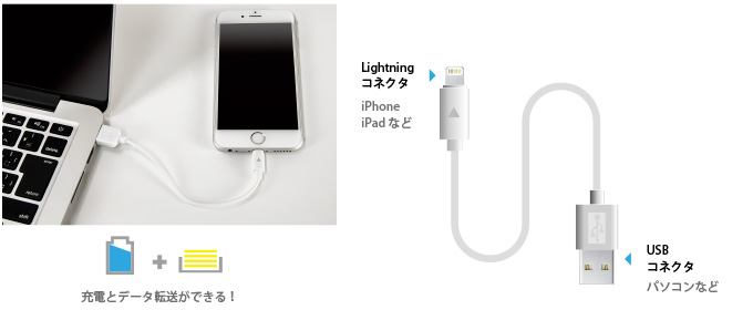 Lightningコネクタ搭載のiPhone・iPad・iPodの充電とデータ転送が可能