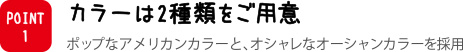 カラーは2種類をご用意