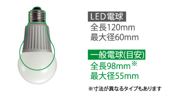 一般の白熱電球とのサイズ比較