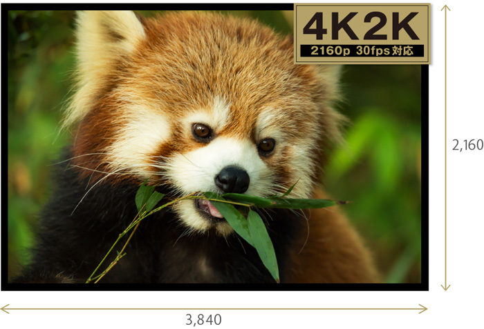 4K2K(2160p 30fps)映像
