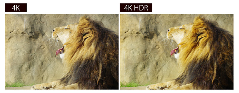 HDR 10対応、リアルで立体感のある映像を実現