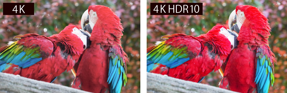 HDR 10対応、リアルで立体感のある映像を実現