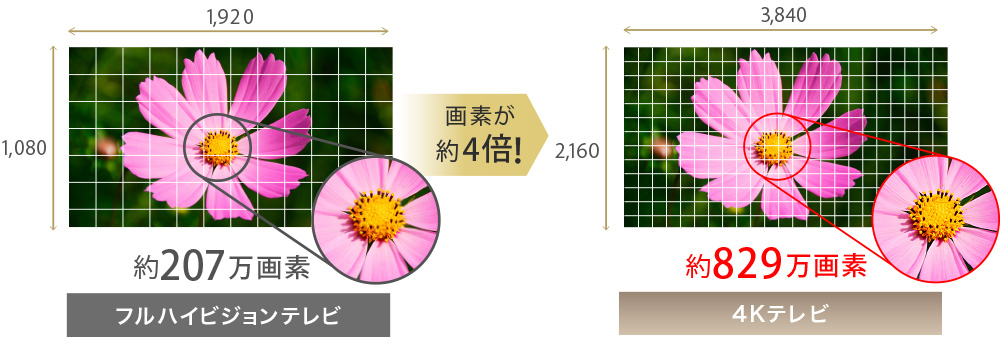 65V型の大画面液晶テレビ