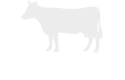 牛肉