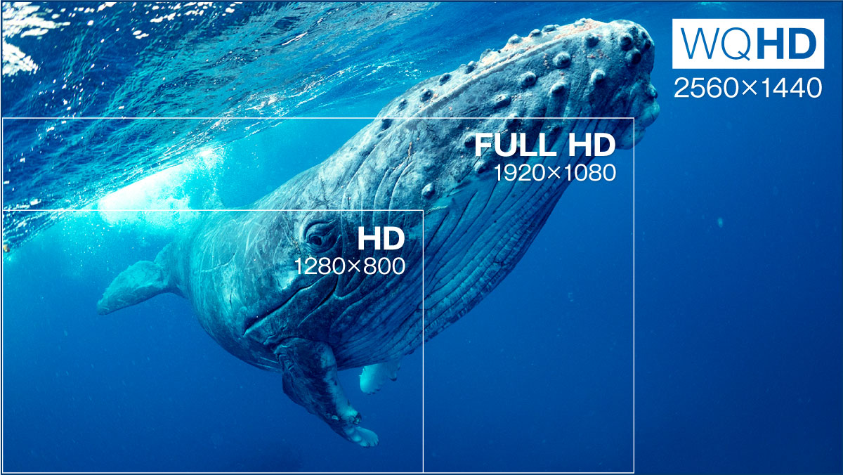 WQHD(2560×1440ピクセル)の高解像度