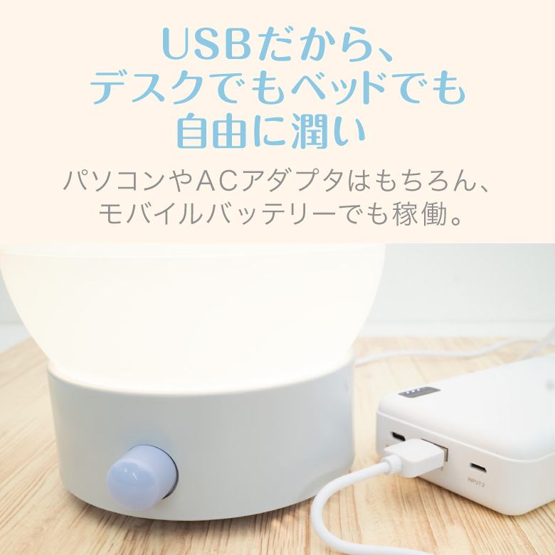 USB接続