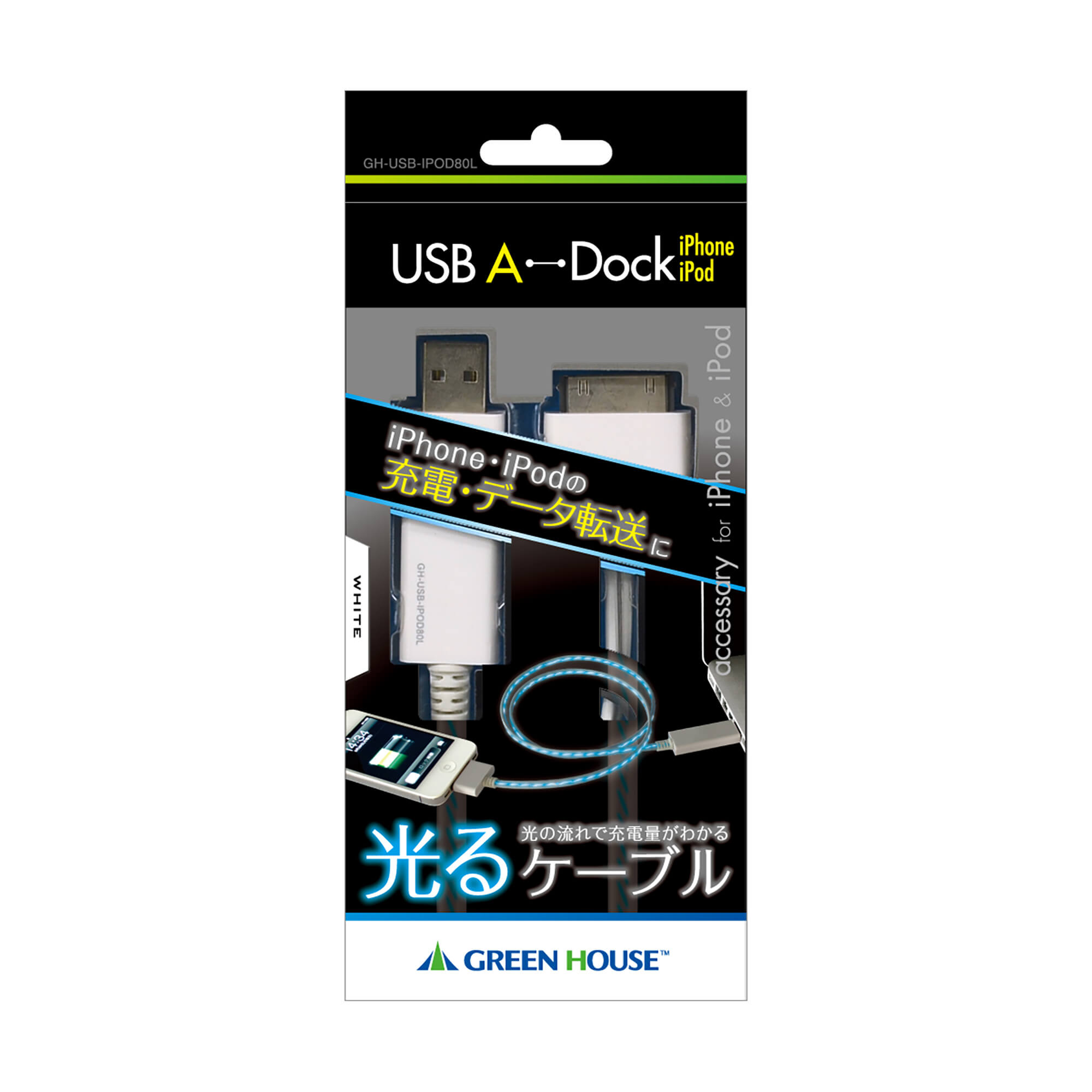GH-USB-IPOD80L